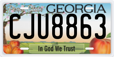 GA license plate CJU8863