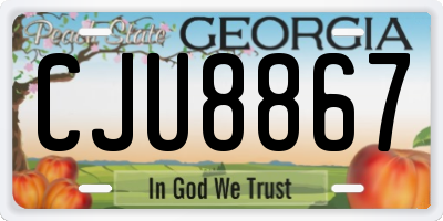 GA license plate CJU8867