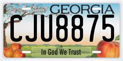 GA license plate CJU8875