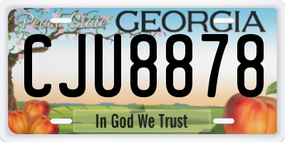 GA license plate CJU8878