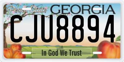 GA license plate CJU8894