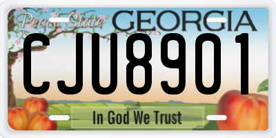 GA license plate CJU8901