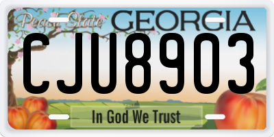GA license plate CJU8903