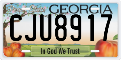GA license plate CJU8917