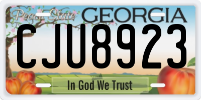 GA license plate CJU8923