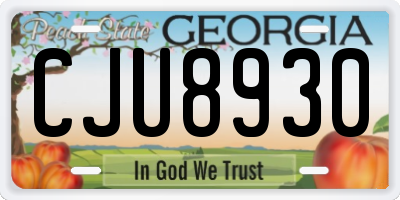 GA license plate CJU8930