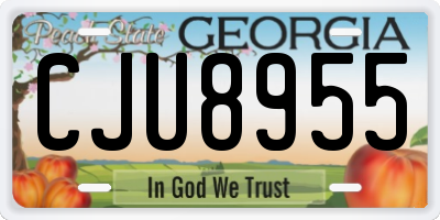 GA license plate CJU8955