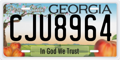 GA license plate CJU8964
