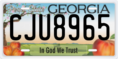 GA license plate CJU8965