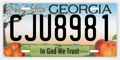 GA license plate CJU8981