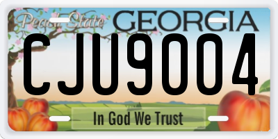 GA license plate CJU9004
