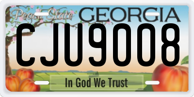 GA license plate CJU9008