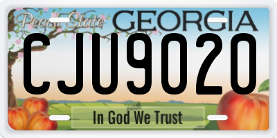 GA license plate CJU9020