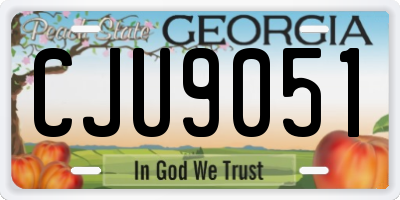 GA license plate CJU9051