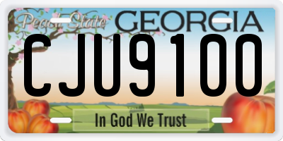 GA license plate CJU9100
