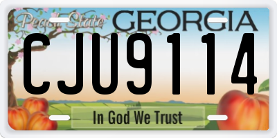 GA license plate CJU9114
