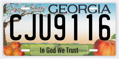 GA license plate CJU9116