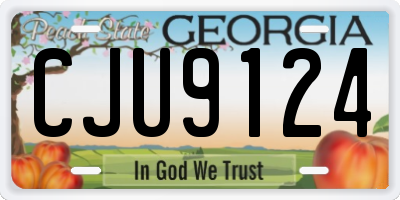 GA license plate CJU9124