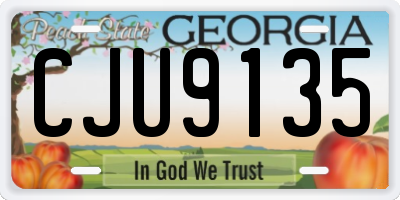 GA license plate CJU9135