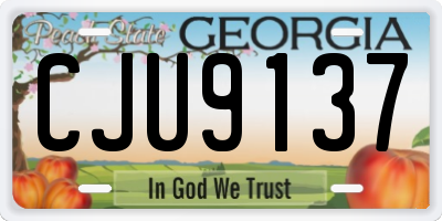 GA license plate CJU9137