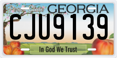 GA license plate CJU9139
