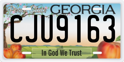 GA license plate CJU9163