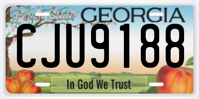 GA license plate CJU9188