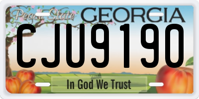 GA license plate CJU9190