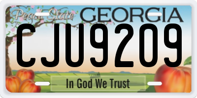GA license plate CJU9209