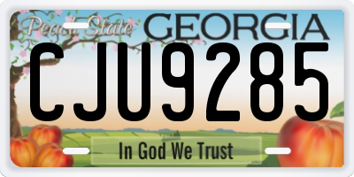 GA license plate CJU9285