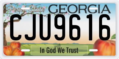 GA license plate CJU9616