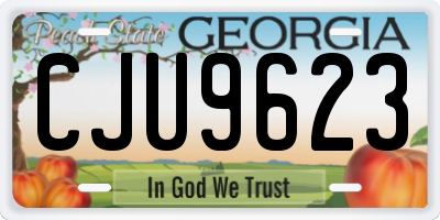 GA license plate CJU9623