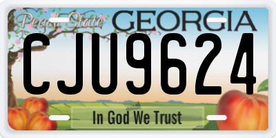 GA license plate CJU9624