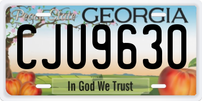 GA license plate CJU9630