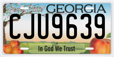 GA license plate CJU9639