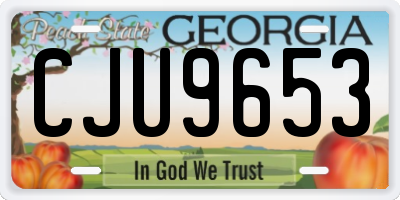 GA license plate CJU9653