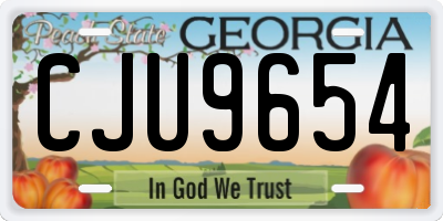 GA license plate CJU9654
