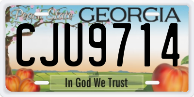 GA license plate CJU9714