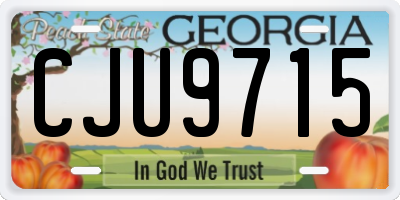 GA license plate CJU9715