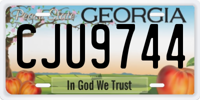 GA license plate CJU9744