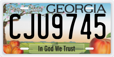 GA license plate CJU9745