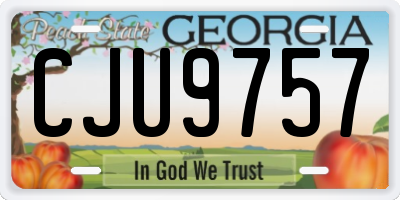 GA license plate CJU9757