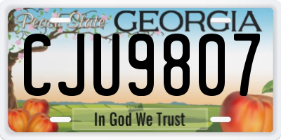 GA license plate CJU9807