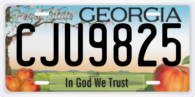 GA license plate CJU9825