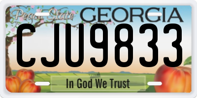 GA license plate CJU9833