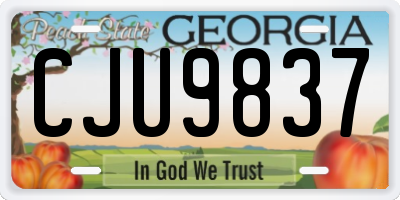GA license plate CJU9837