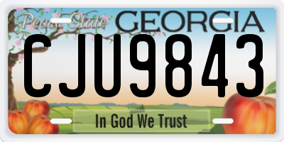 GA license plate CJU9843