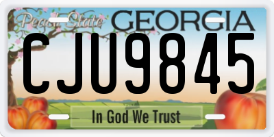 GA license plate CJU9845