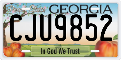GA license plate CJU9852