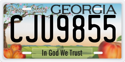 GA license plate CJU9855